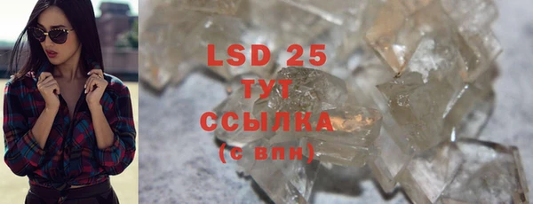 PSILOCYBIN Слюдянка