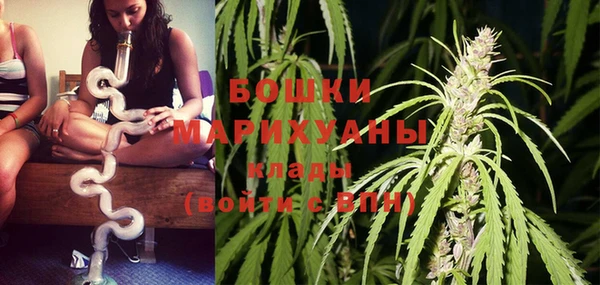 ГАЛЛЮЦИНОГЕННЫЕ ГРИБЫ Снежинск