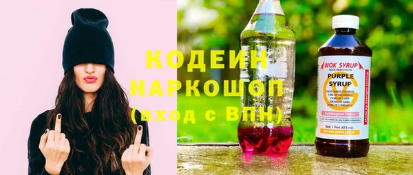 молекула духа Снежногорск