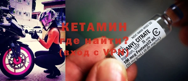 молекула духа Снежногорск