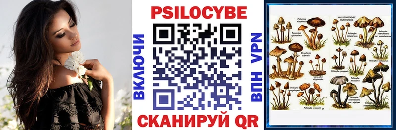 дарк нет клад  Волжск  Галлюциногенные грибы Magic Shrooms 